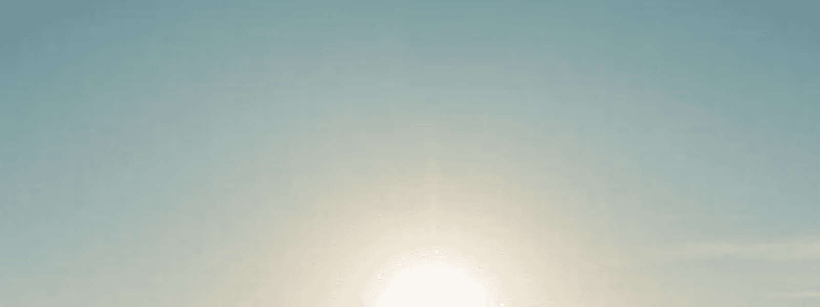 WEBSITE HEADER Solent Case Study
